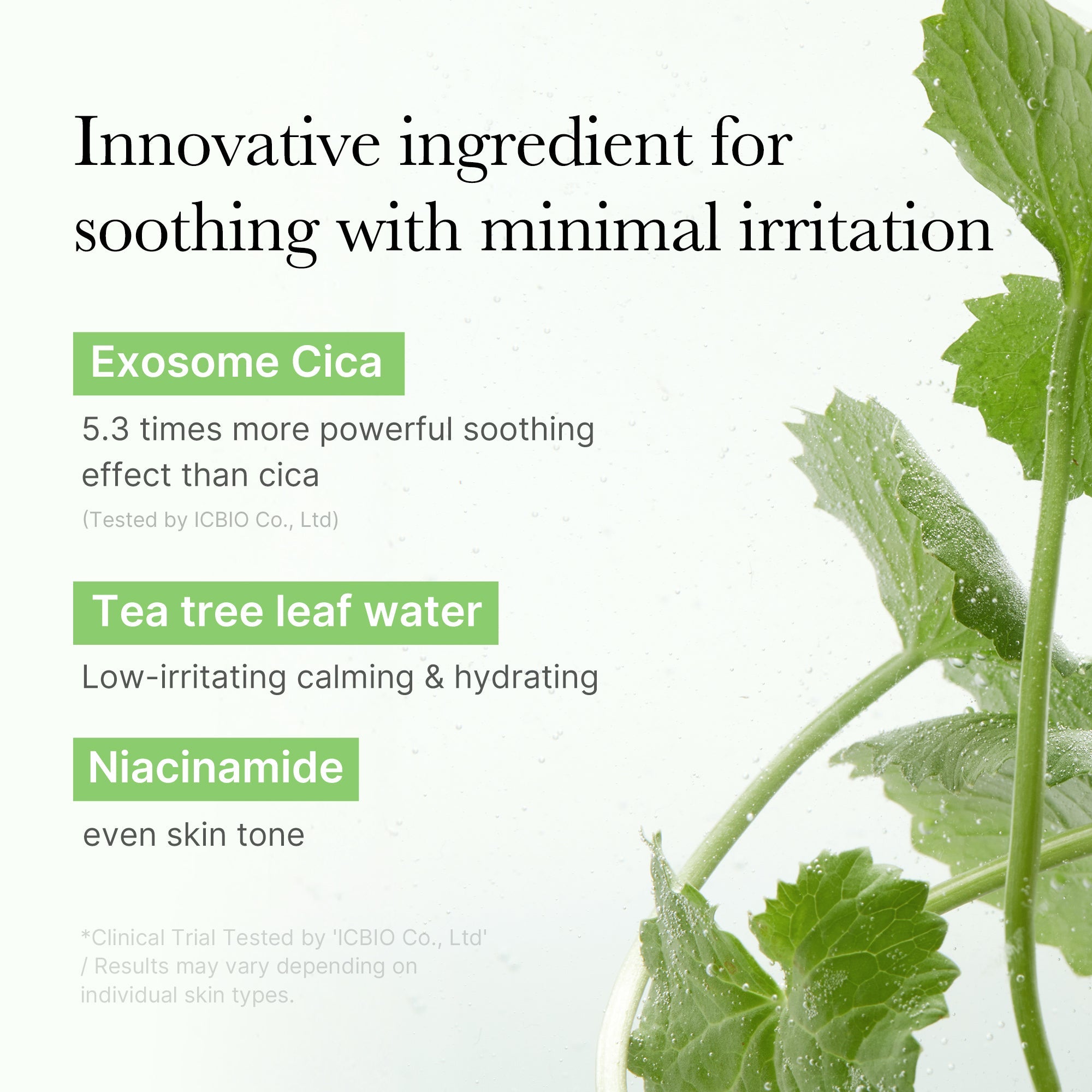 Exosome Cica Calming Toner Pads M4
